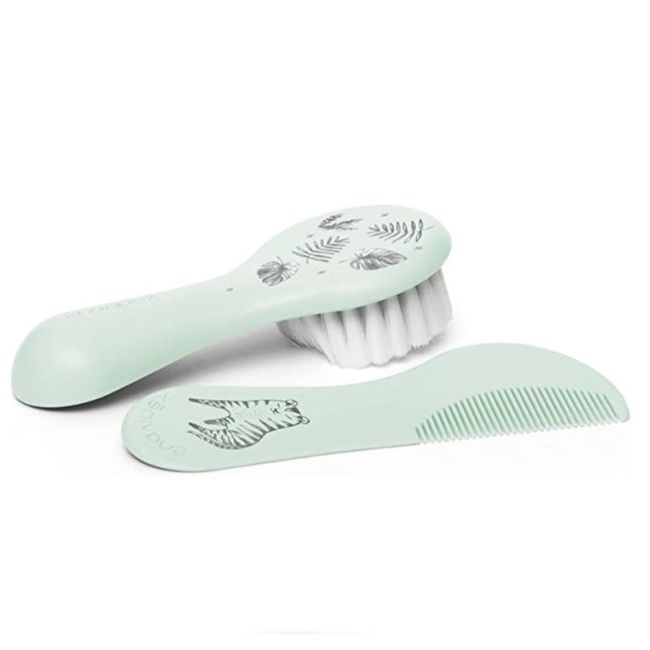 Définir la brosse et le peigne vert